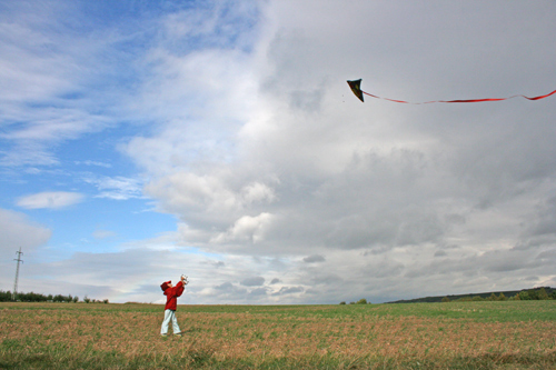 Drachenflug in Rheinhessen